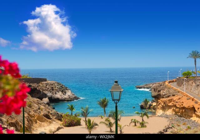 Bonito Estudio Playa Paraiso Con Vista Al Mar By Paramount Holidays アデヘ エクステリア 写真